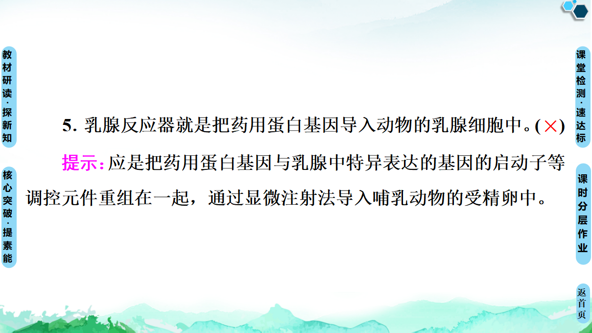 第3章 第3节 基因工程的应用 课件【新教材】人教版（2019）高中生物选择性必修3_13.png
