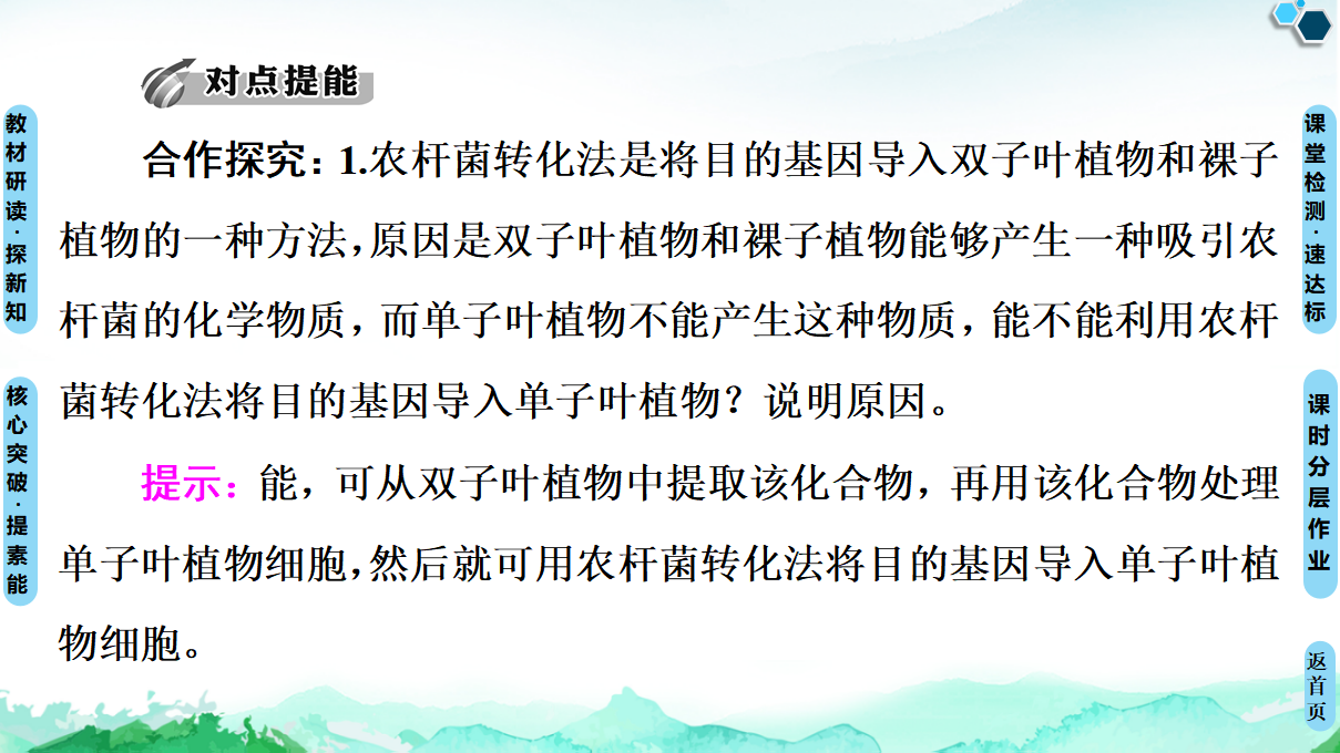 第3章 第2节 基因工程的基本操作程序 课件【新教材】人教版（2019）高中生物选择性必修3_55.png