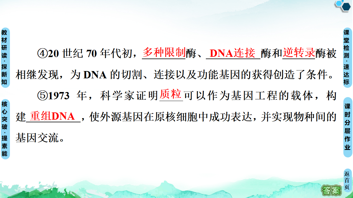 第3章 第1节 重组DNA技术的基本工具 课件【新教材】人教版（2019）高中生物选择性必修3_06.png