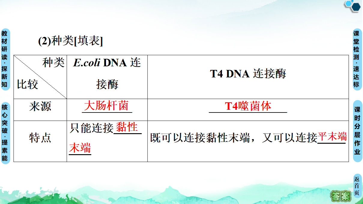 第3章 第1节 重组DNA技术的基本工具 课件【新教材】人教版（2019）高中生物选择性必修3_13.png