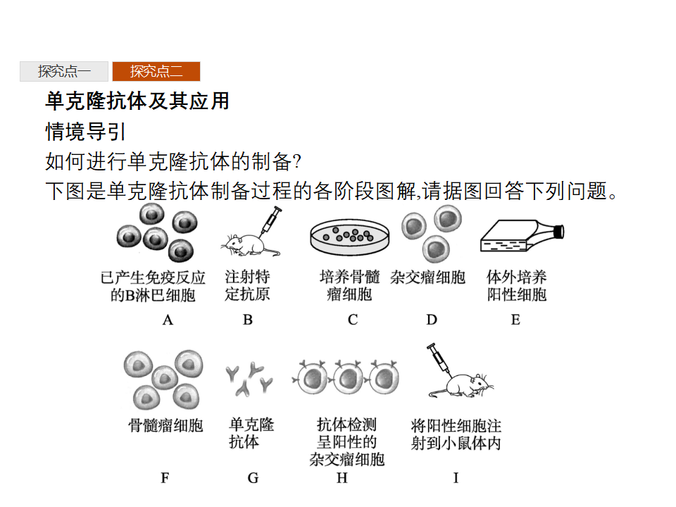 第2章　第2节　二　动物细胞融合技术与单克隆抗体_24.png