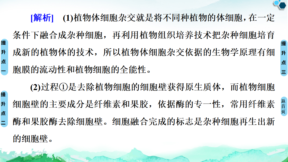 第2章 素能提升课 细胞工程与其他相关知识的综合 课件【新教材】人教版（2019）高中生物选择性必修3_21.png