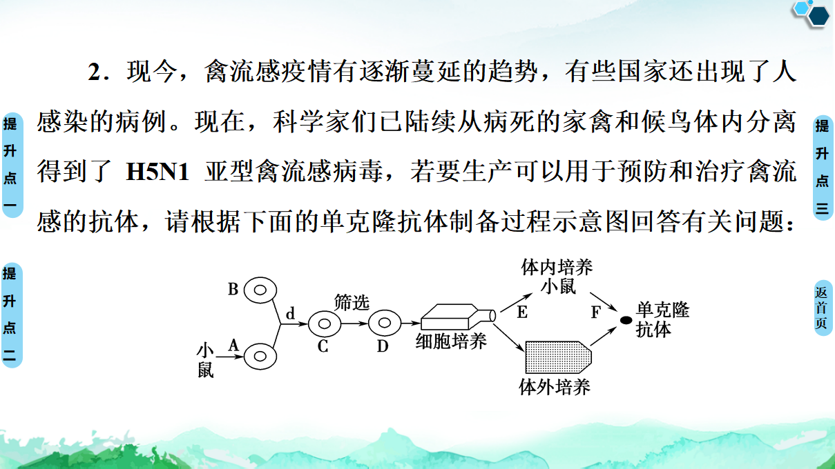第2章 素能提升课 细胞工程与其他相关知识的综合 课件【新教材】人教版（2019）高中生物选择性必修3_36.png
