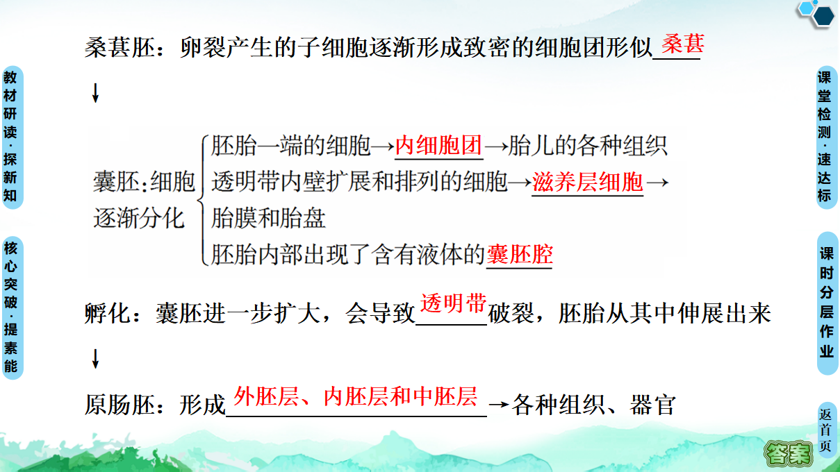 第2章 第3节 第1课时 胚胎工程的理论基础 课件【新教材】人教版（2019）高中生物选择性必修3_09.png
