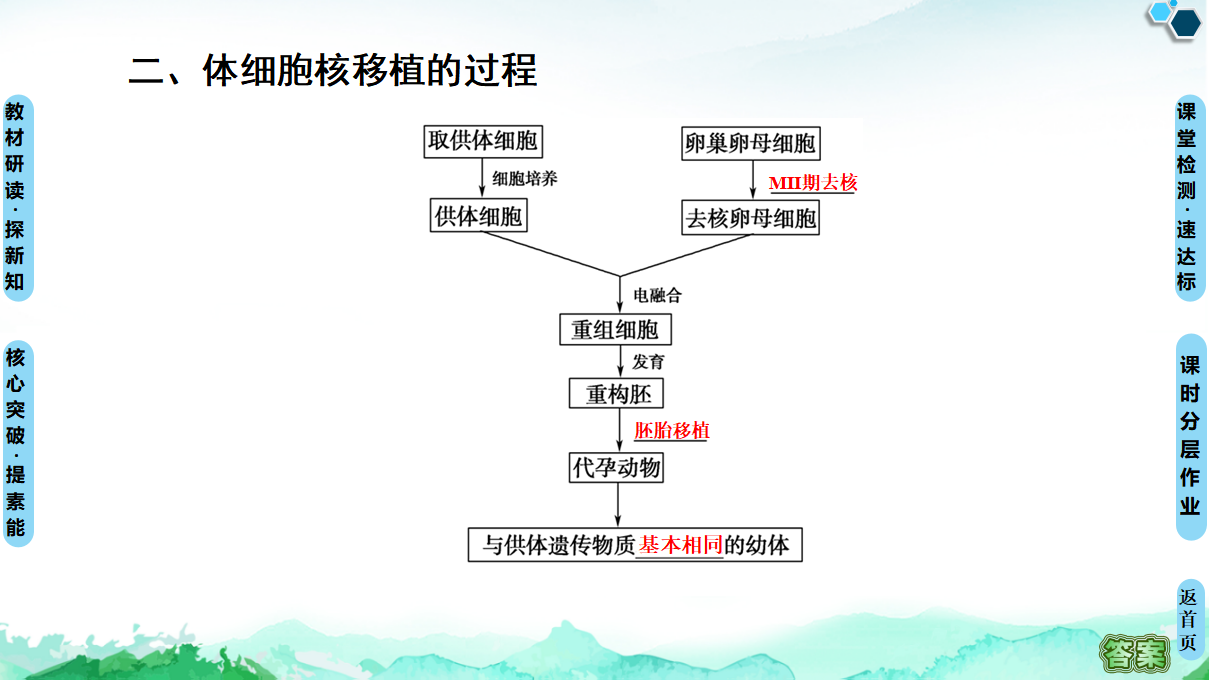 第2章 第2节 第3课时 动物体细胞核移植技术和克隆动物 课件【新教材】人教版（2019）高中生物选择性必修3_05.png