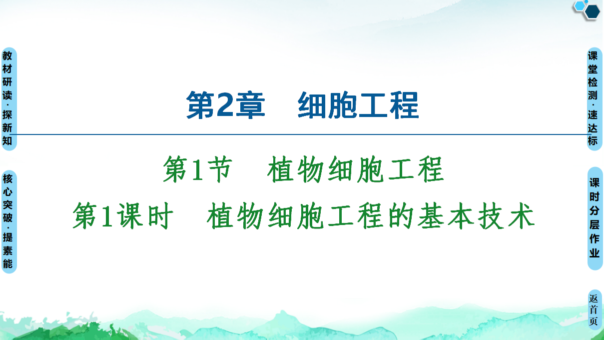 第2章 第1节 第1课时 植物细胞工程的基本技术 课件【新教材】人教版（2019）高中生物选择性必修3_01.png