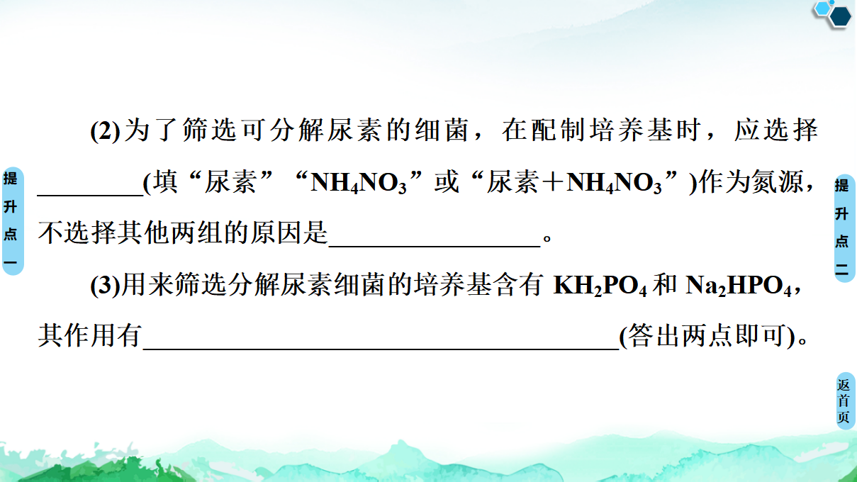 第1章 素能提升课 发酵工程与其他相关知识的综合 课件【新教材】人教版（2019）高中生物选择性必修3_27.png