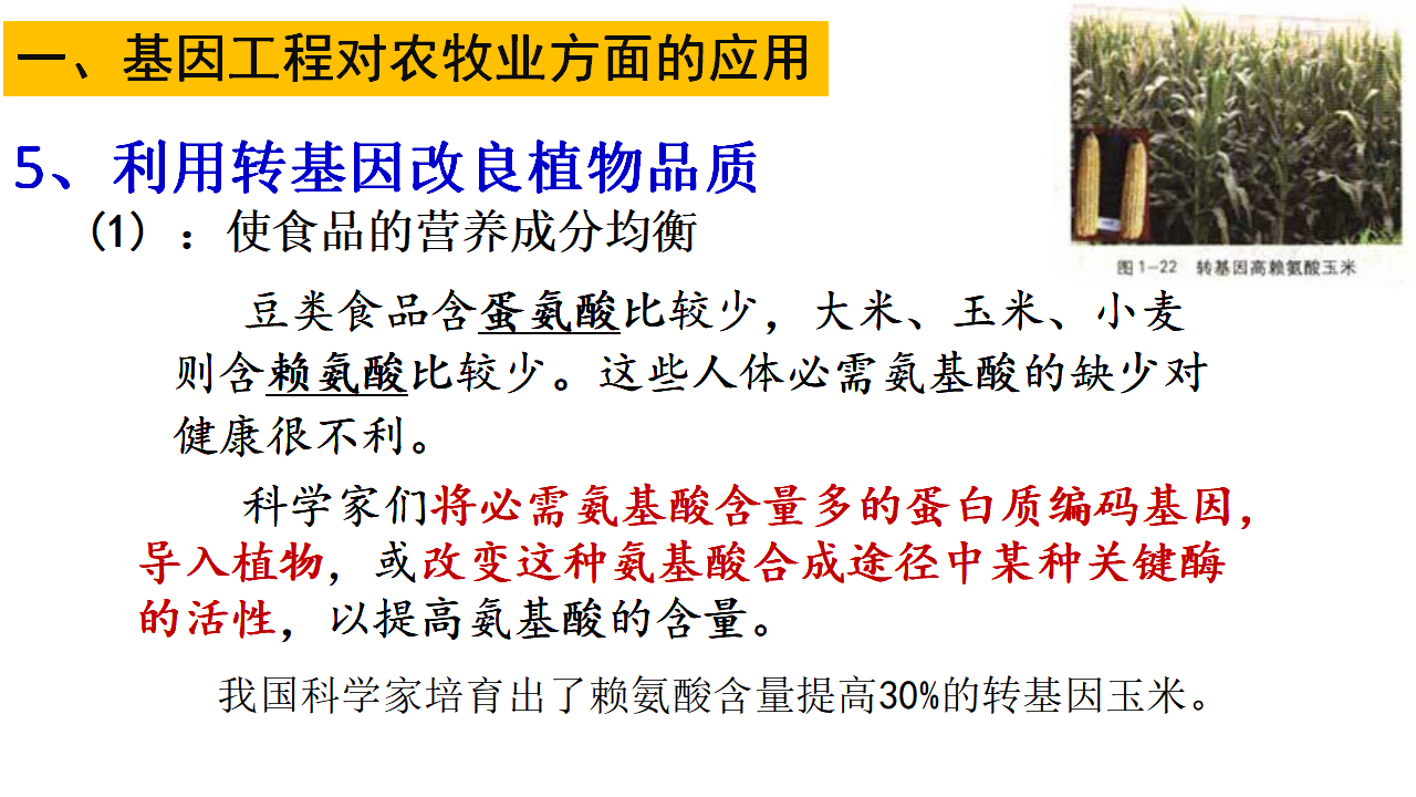 3.3基因工程的应用 课件【新教材】2020-2021学年人教版（2019）高二生物选择性必修三_12.png