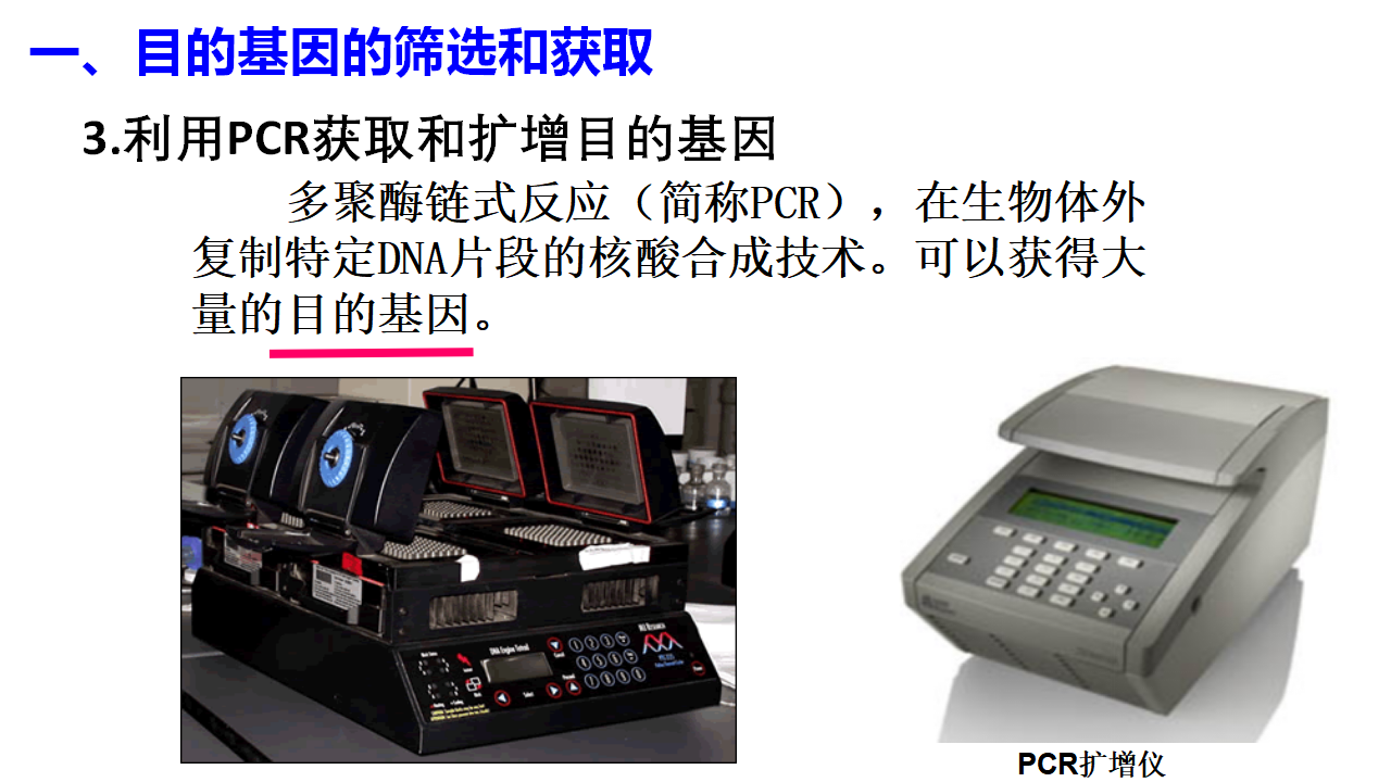 3.2 基因工程的基本操作程序 课件【新教材】2020-2021学年人教版（2019）高二生物选择性必修三_08.png
