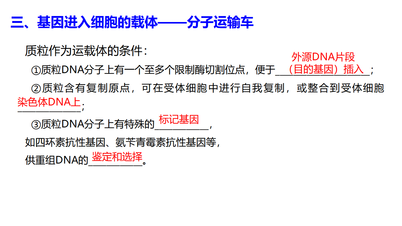 3.1DNA重组技术的基本工具 课件【新教材】2020-2021学年人教版（2019）高二生物选择性必修三_22.png