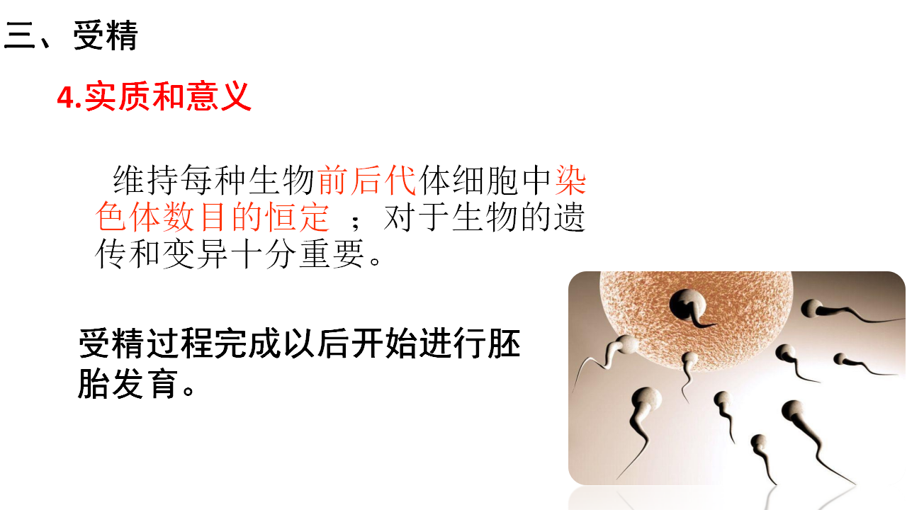 2.3.1 胚胎工程的理论基础 课件【新教材】2020-2021学年人教版（2019）高二生物选择性必修三_21.png