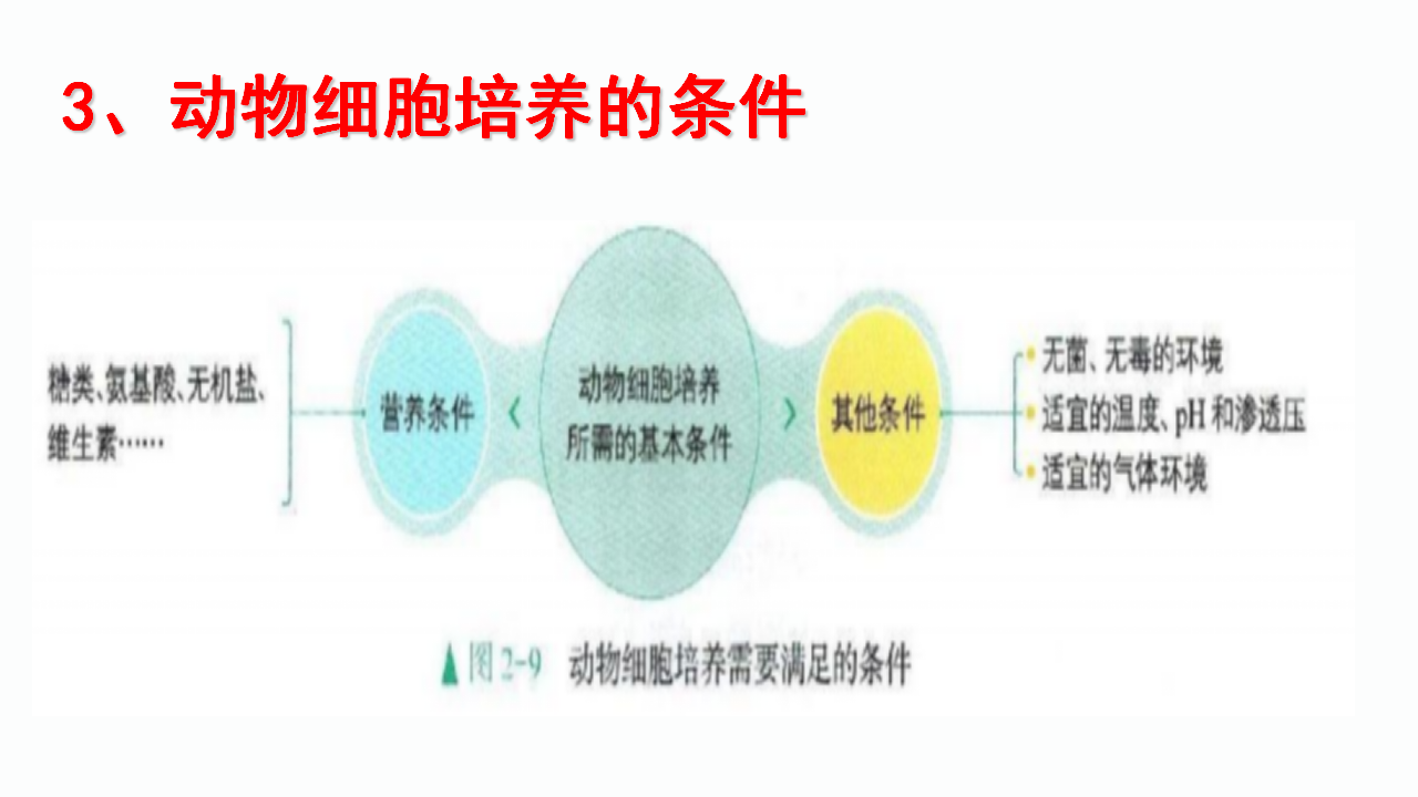 2.2.1 动物细胞工程（第一课时） 课件【新教材】2020-2021学年人教版（2019）高二生物选择性必修三_06.png