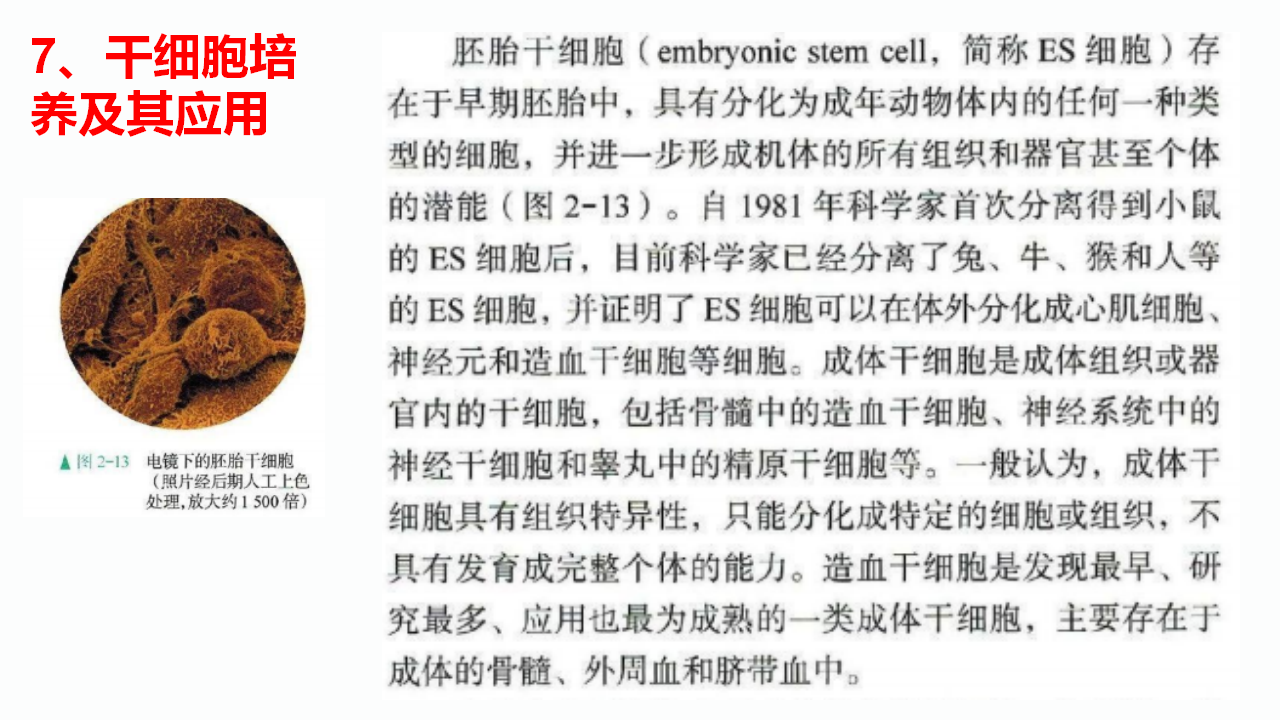 2.2.1 动物细胞工程（第一课时） 课件【新教材】2020-2021学年人教版（2019）高二生物选择性必修三_24.png