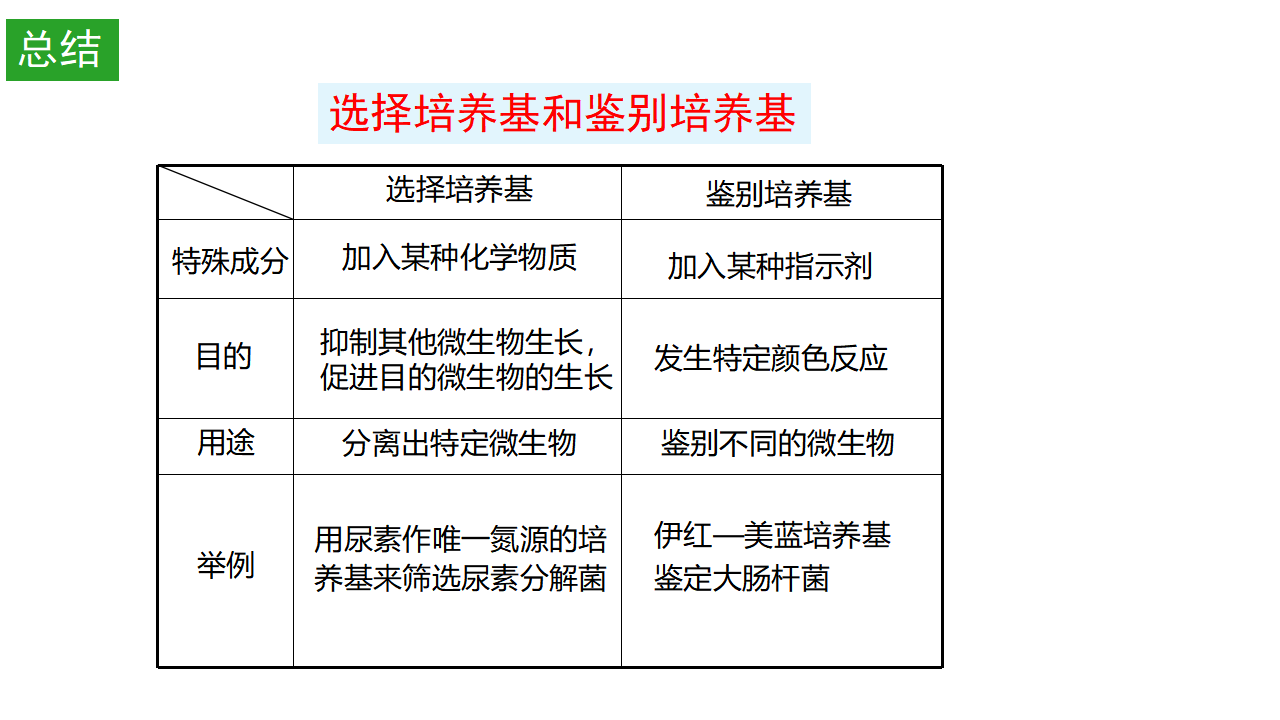 1.2 微生物的培养技术及应用（第二课时） 课件【新教材】2020-2021学年人教版（2019）高二生物选择性必修三_07.png