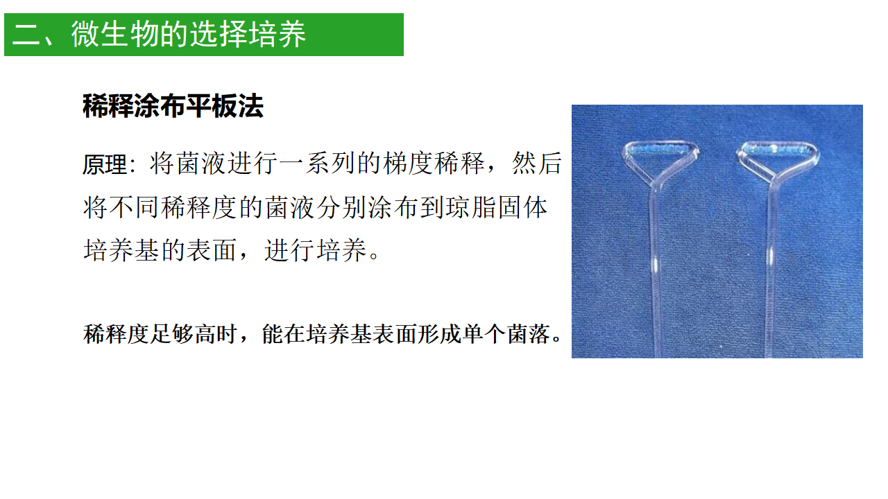 1.2 微生物的培养技术及应用（第二课时） 课件【新教材】2020-2021学年人教版（2019）高二生物选择性必修三_10.png
