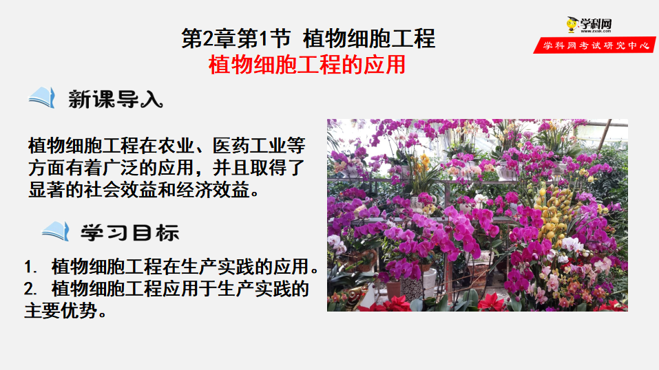 第2章第1节 植物细胞工程—植物细胞工程的应用（课件）-2022-2023学年高二生物备课无忧（人教版2019选择性必修3）_01.png