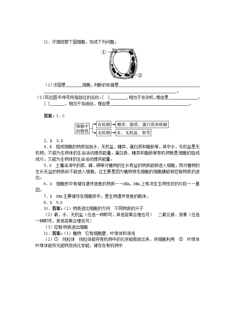 （新版）新人教版七年级上册：2.1.4《细胞的生活》练习及答案_04.png