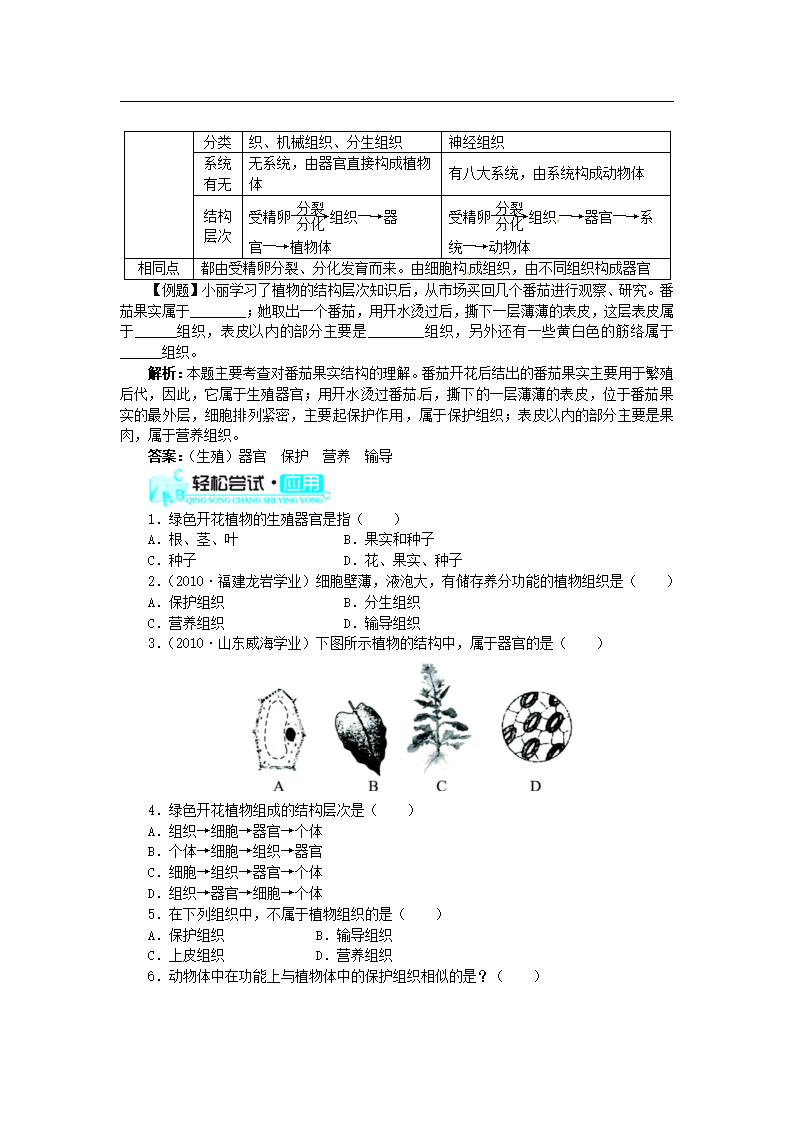 2.2.3 植物体的结构层次练习 （新版）新人教版_02.png