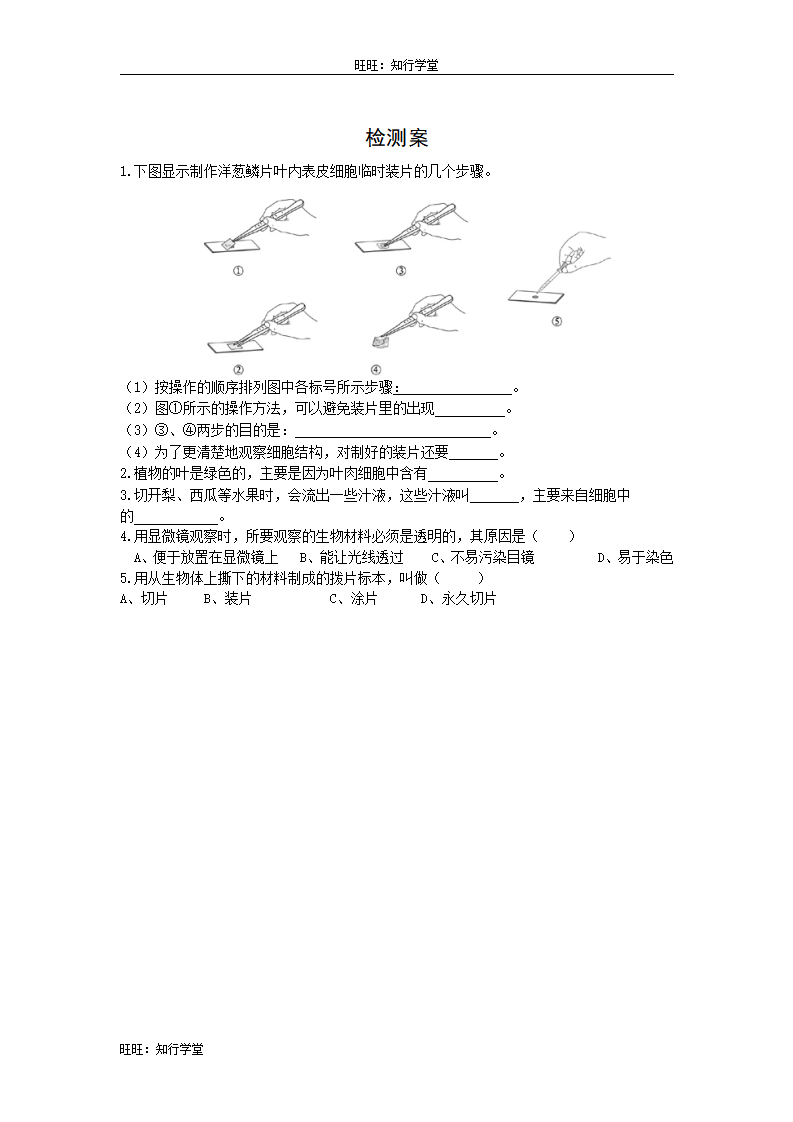 2.第二节  植物细胞_02.png