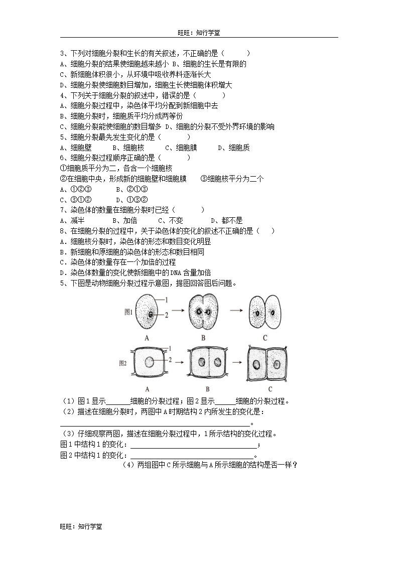 1.第一节  细胞通过分裂产生新细胞_02.png