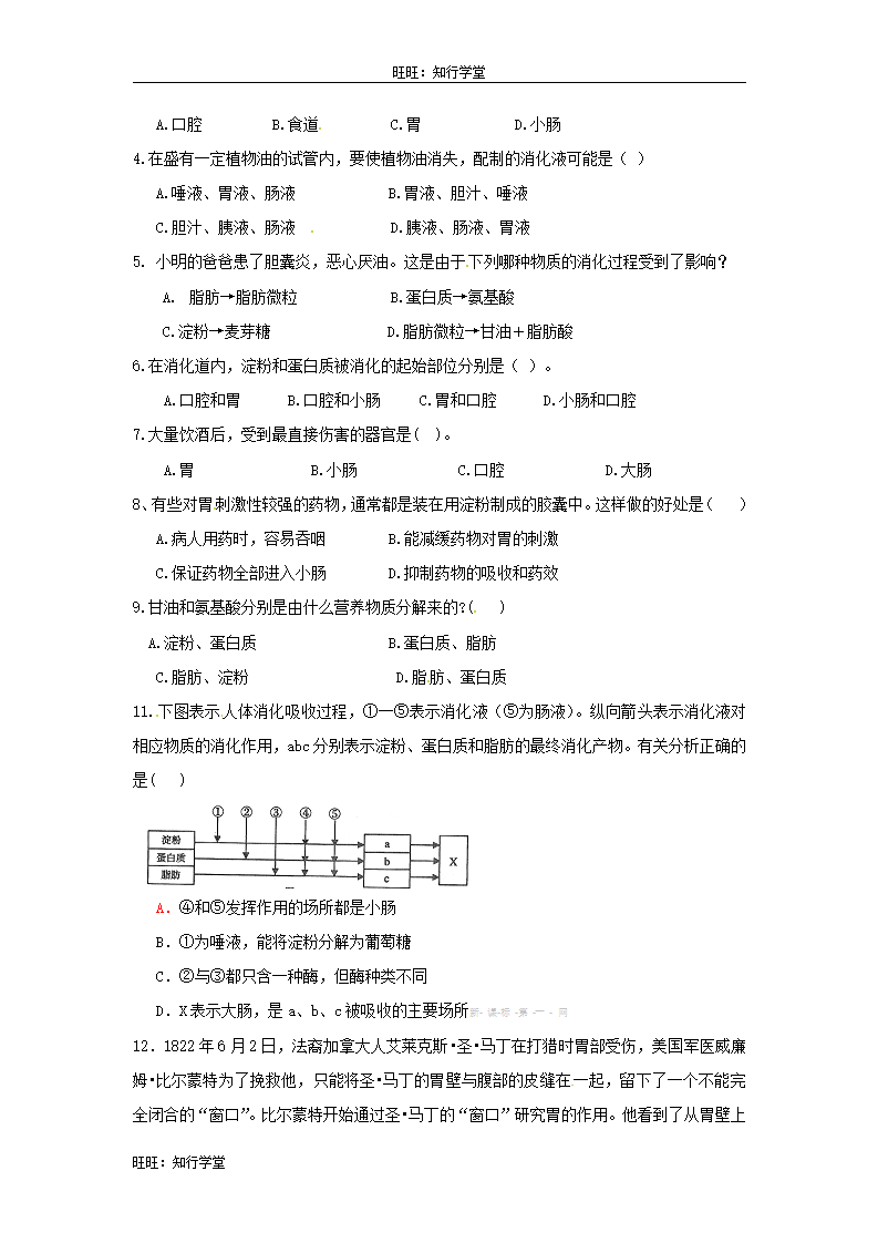 第2课时  食物的消化过程和营养物质的吸收_02.png