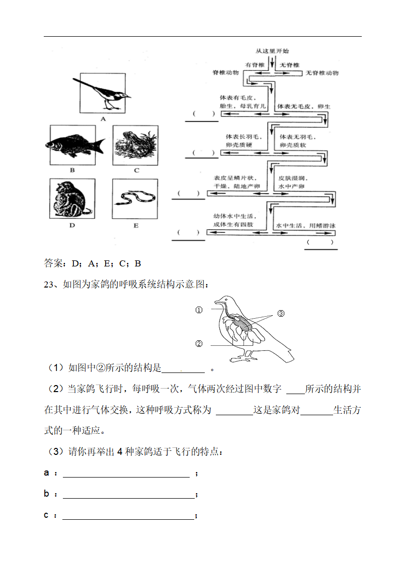 人教版八年级生物上册：综合测试题三_05.png
