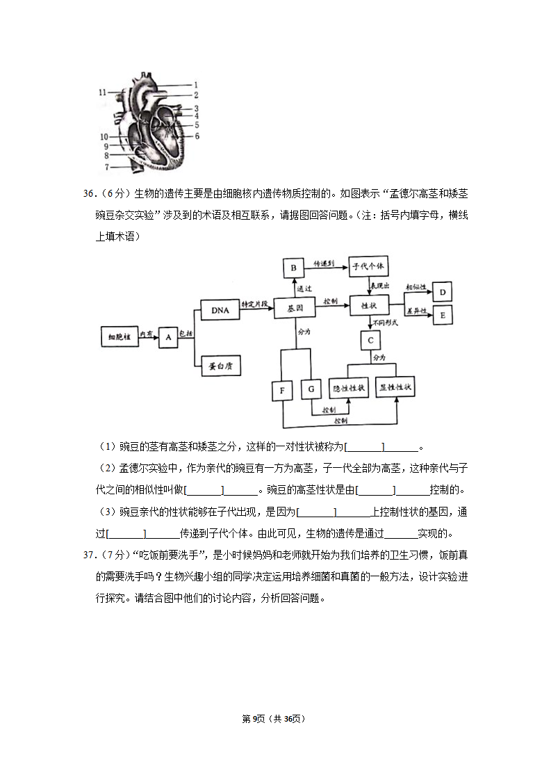 2019年山东省威海市中考生物试卷_09.png