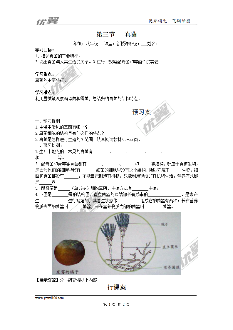 3.第三节  真菌_01.png