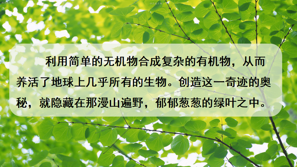 第四章 绿色植物是生物圈中有机物的制造者_06.png