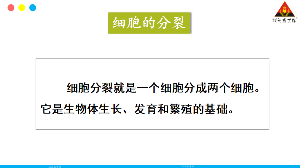 第一节 细胞通过分裂产生新细胞_10.png