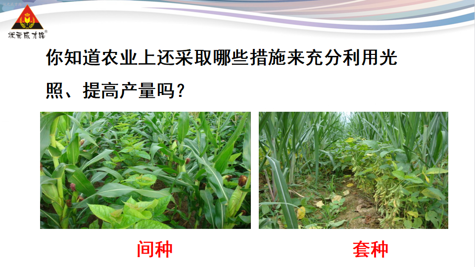 第一节 光合作用吸收二氧化碳释放氧气_26.png