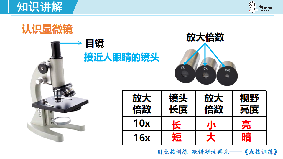 第一节  练习使用显微镜_08.png
