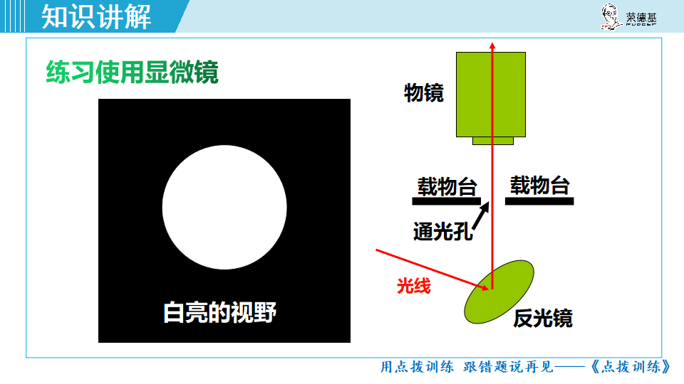 第一节  练习使用显微镜_19.png