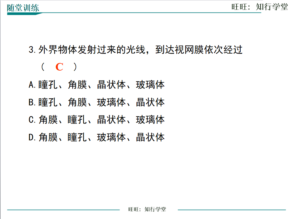 第1课时 视觉感知_18.png