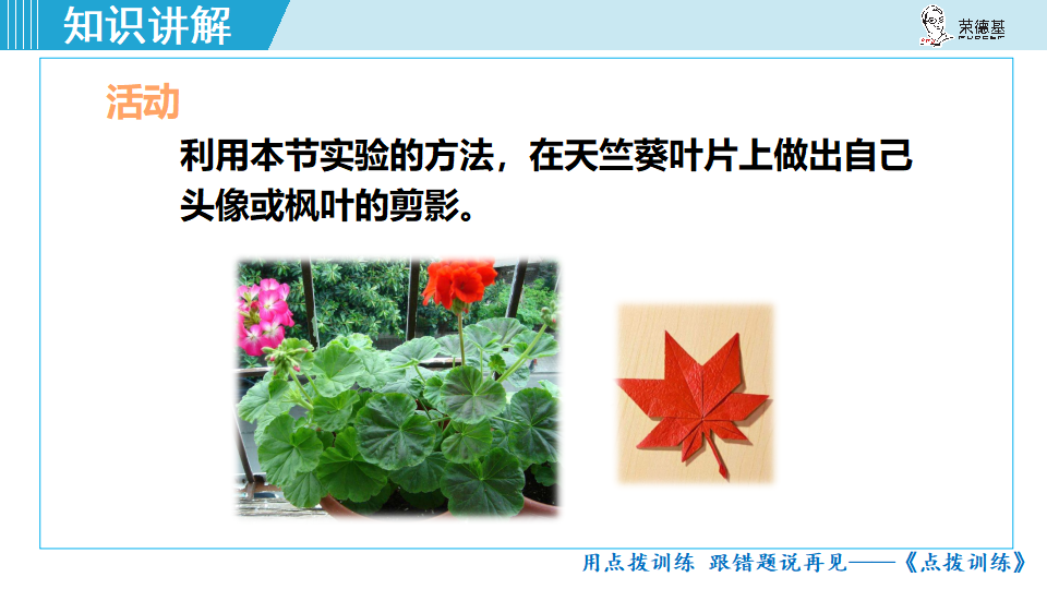 生物-课时--第四章绿色植物是生物圈中有机物的制造者_16.png