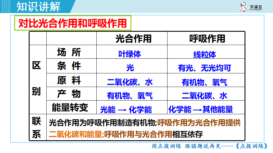 生物-课时--第二节绿色植物的呼吸作用_30.png