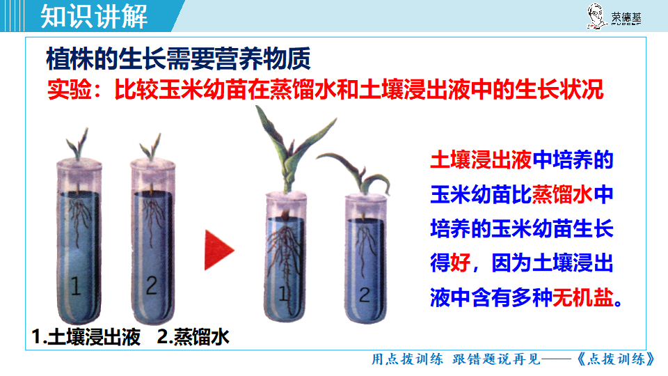 生物-课时--第二节植株的生长_16.png