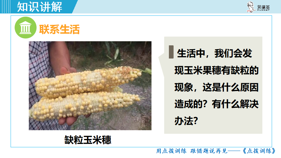 生物-课时--第三节开花和结果_31.png