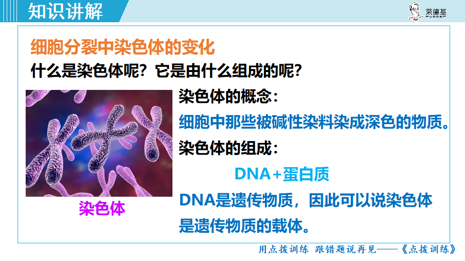 生物-课时--第一节细胞通过分裂产生新细胞_21.png