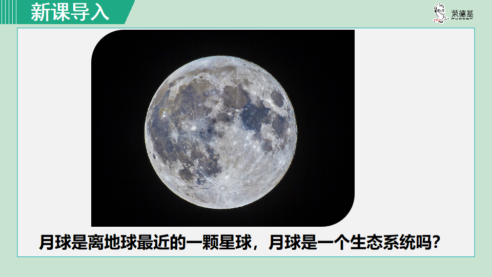 生物-课时--第一单元第二章第二节第1课时生态系统_03.png