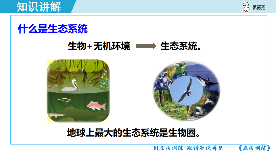生物-课时--第一单元第二章第二节第1课时生态系统_09.png