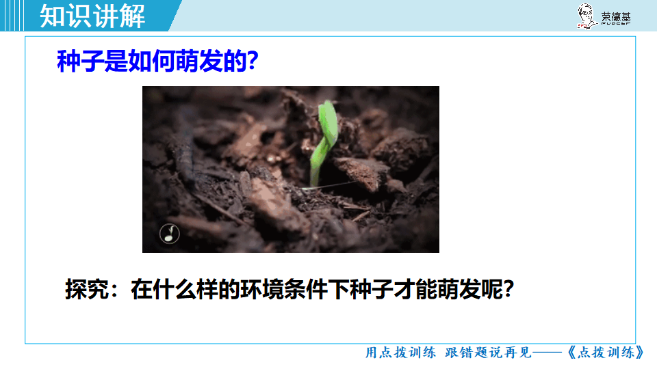 生物-课时--第1课时种子萌发的条件_05.png