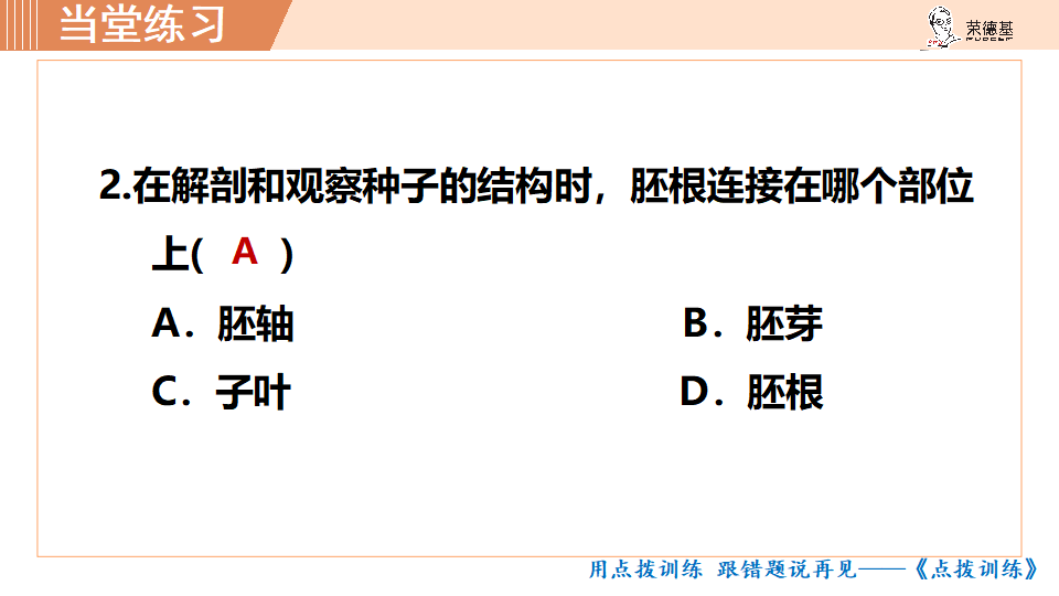 生物-课时--第1课时种子的结构_25.png