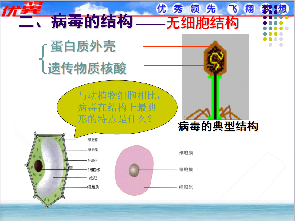 第五章  病毒_05.png