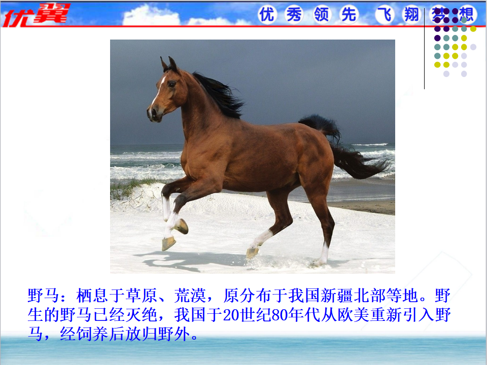 7.第七节  哺乳动物_04.png