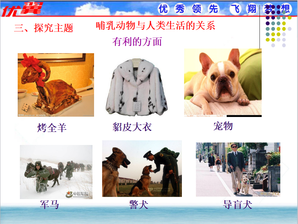 7.第七节  哺乳动物_17.png