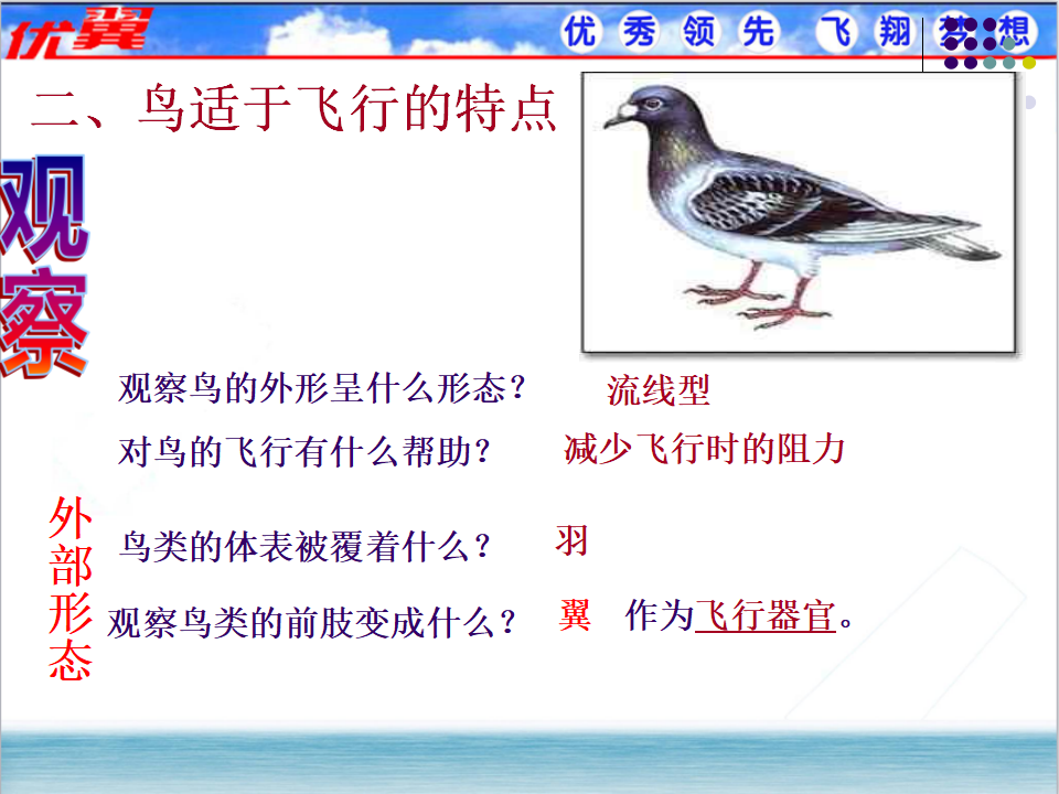 6.第六节  鸟_05.png