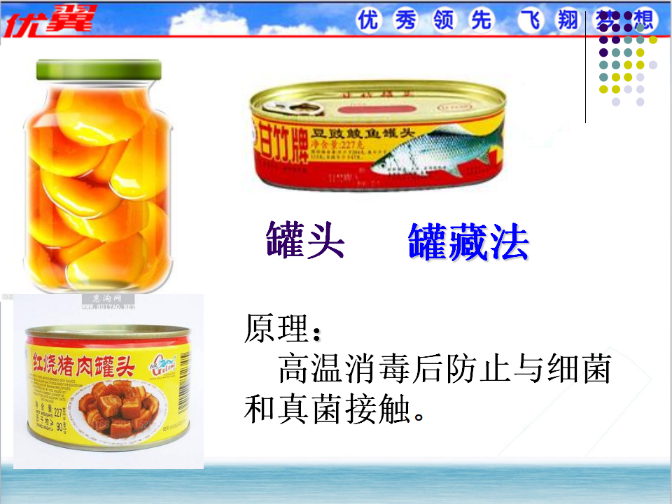 5.第五节  人类对细菌和真菌的利用_12.png