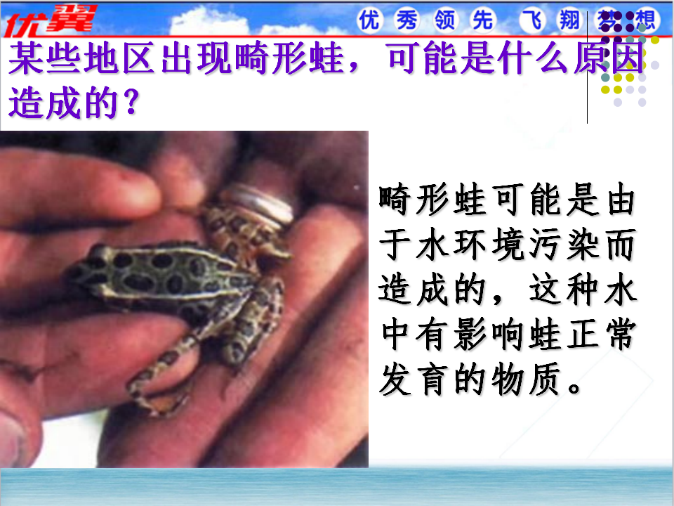 5.第五节  两栖动物和爬行动物【备份1】_08.png