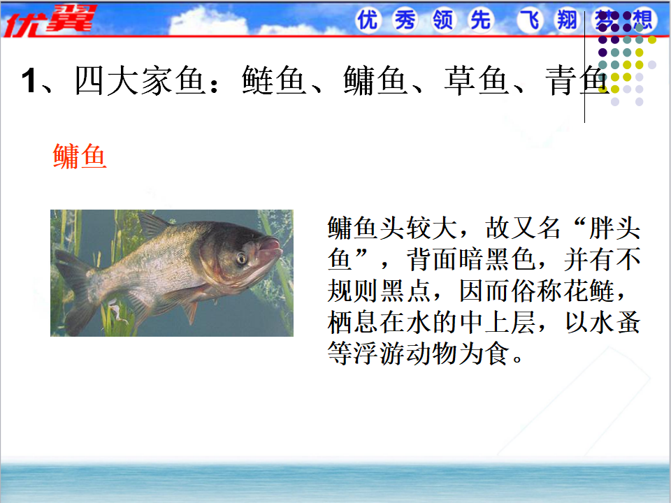 4.第四节  鱼_04.png